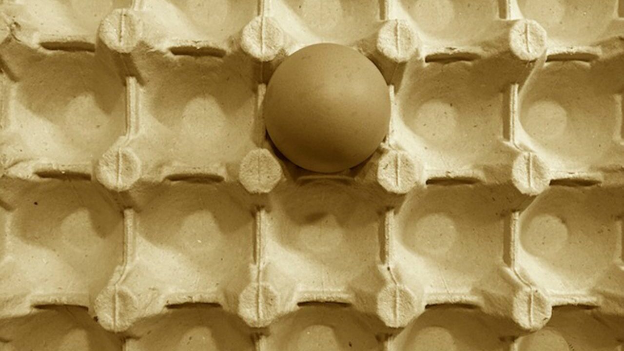 Правительство разрешило ввозить в РФ яйца без пошлины