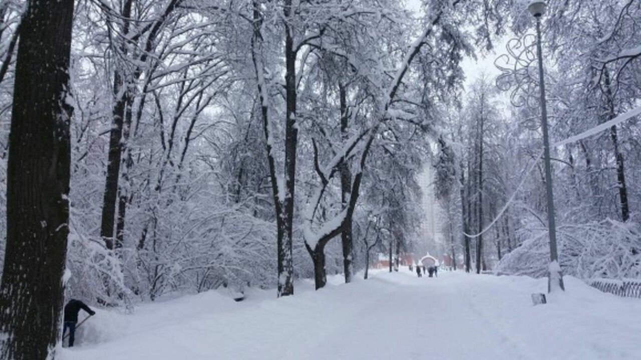 Парк-усадьба "Воронцово" после снегопада