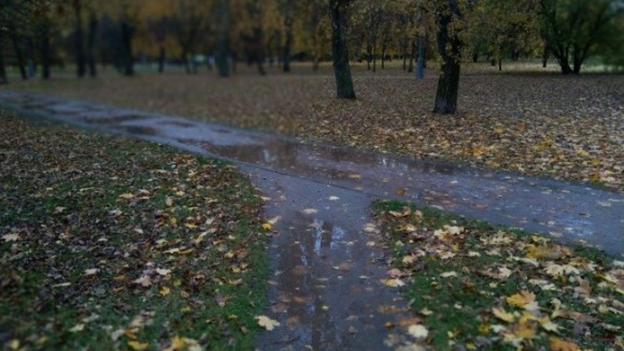 В Москве плюс восемь и сильный дождь с мокрым снегом