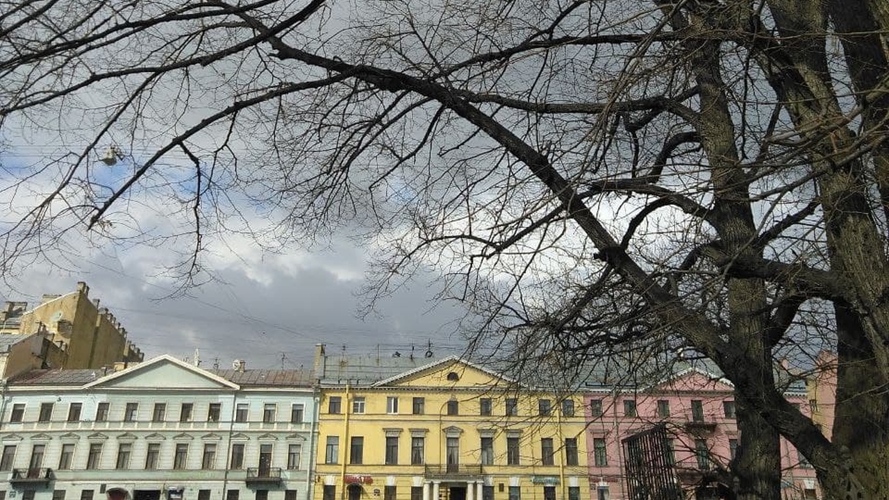 В Петербурге потеплеет до плюс пяти