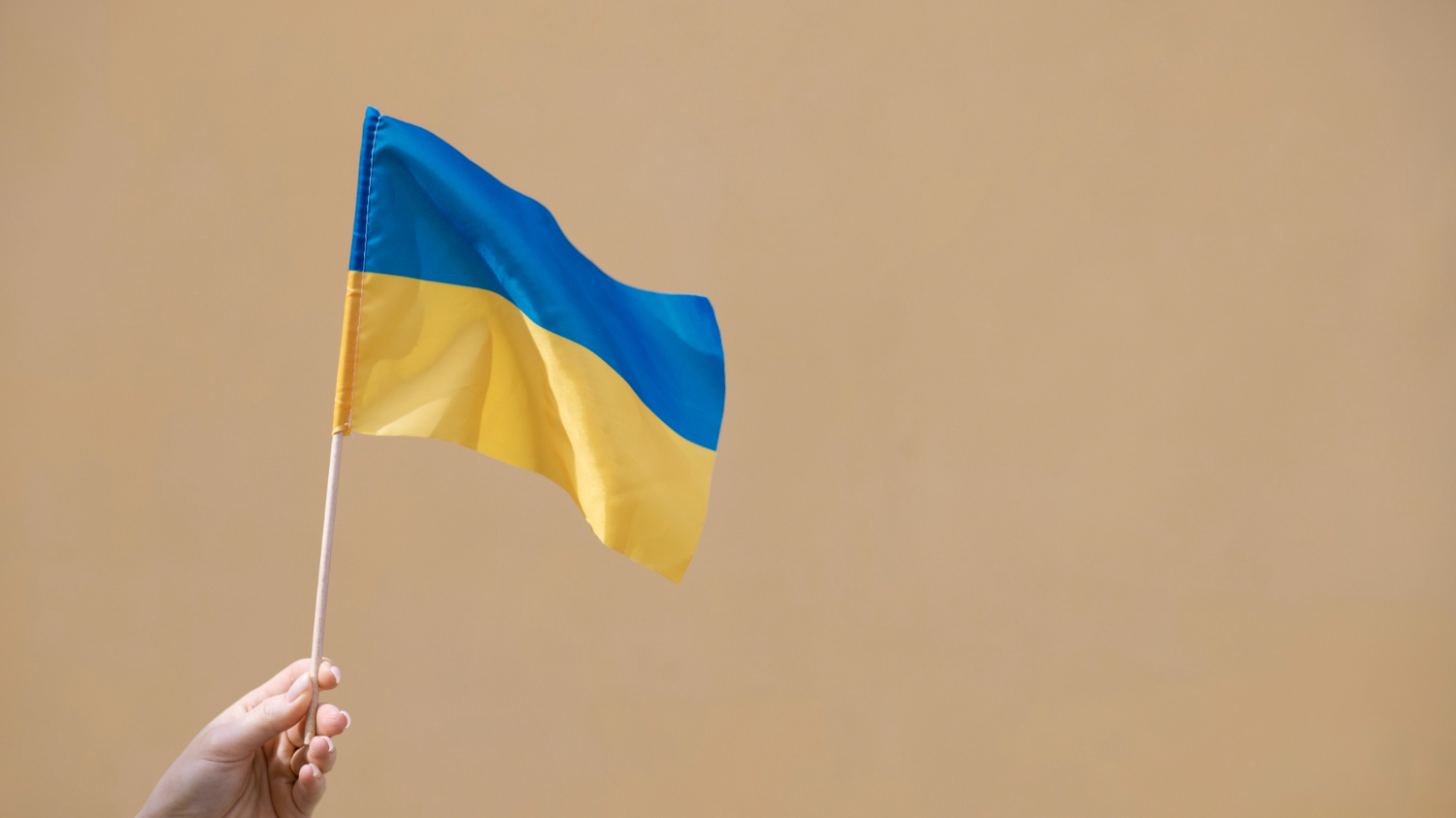 Киев предупредил Совет Европы о планах ограничивать права и свободы украинцев