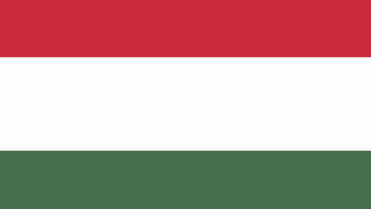 Правительство РФ приостановило безвизовые поездки венгерских дипломатов