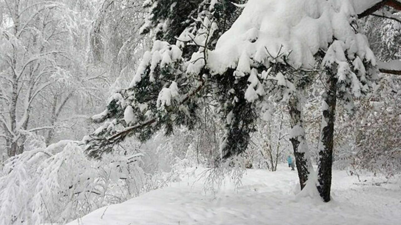 Синоптик Тишковец предсказал рекордный снегопад и резкое падение давления в Москве