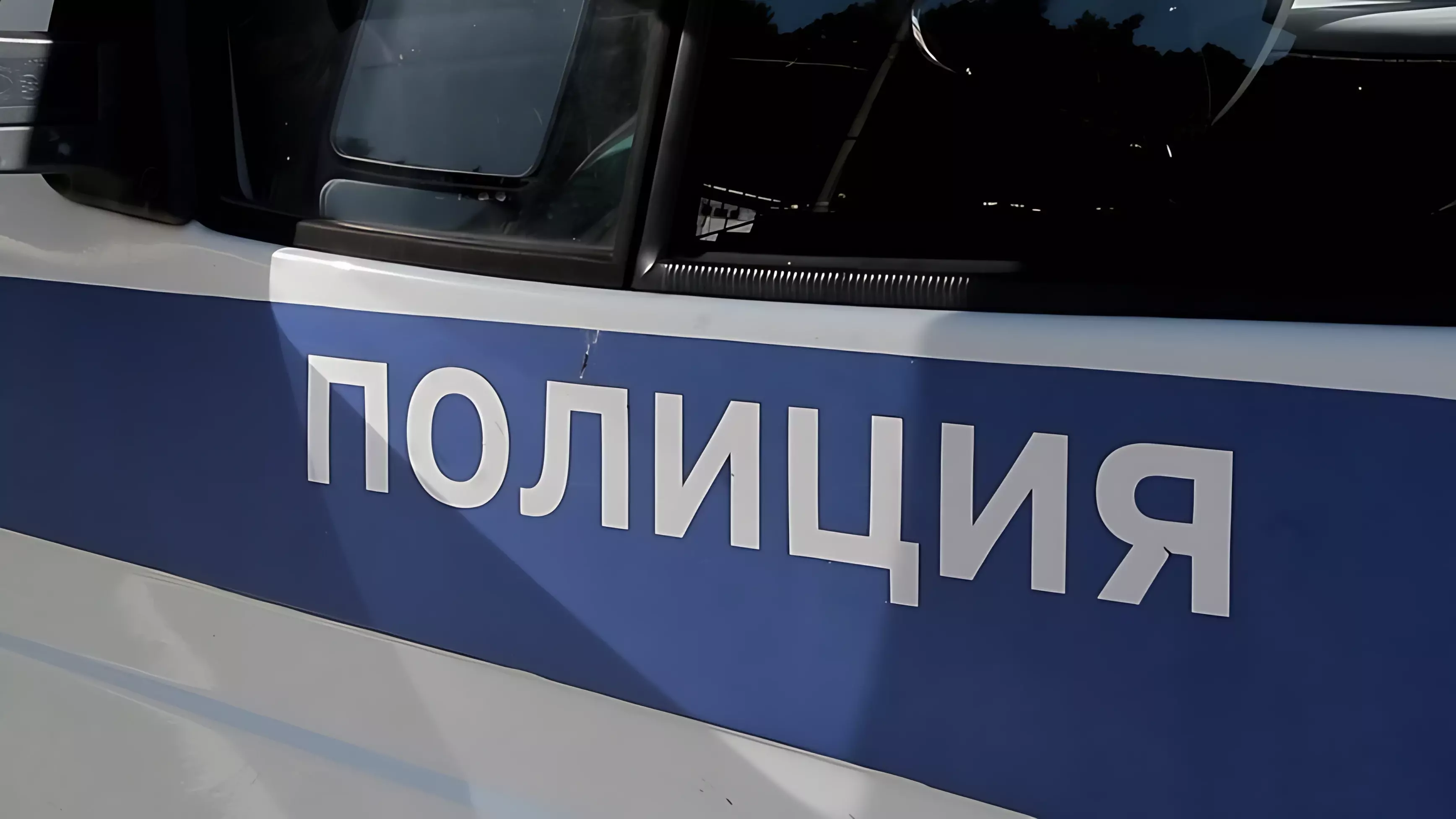 Петербурженке грозит уголовное дело за плакат с украинскими стихами