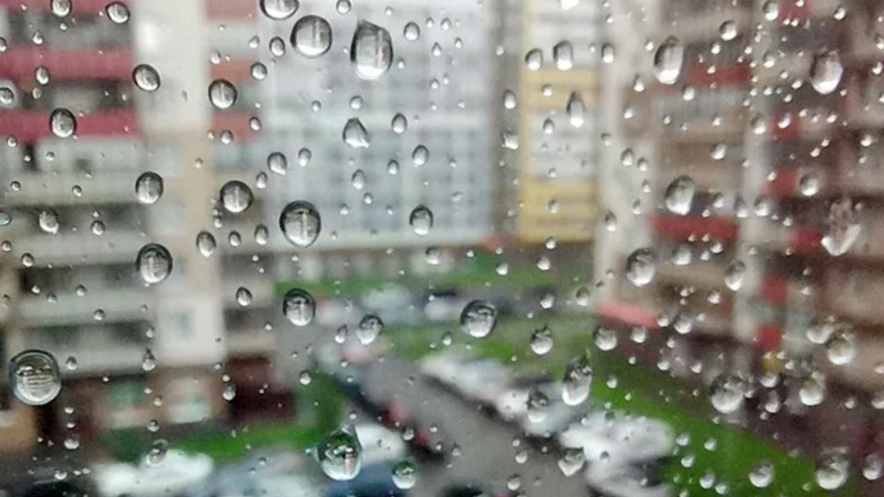 В Петербурге плюс двадцать два и кратковременные дожди