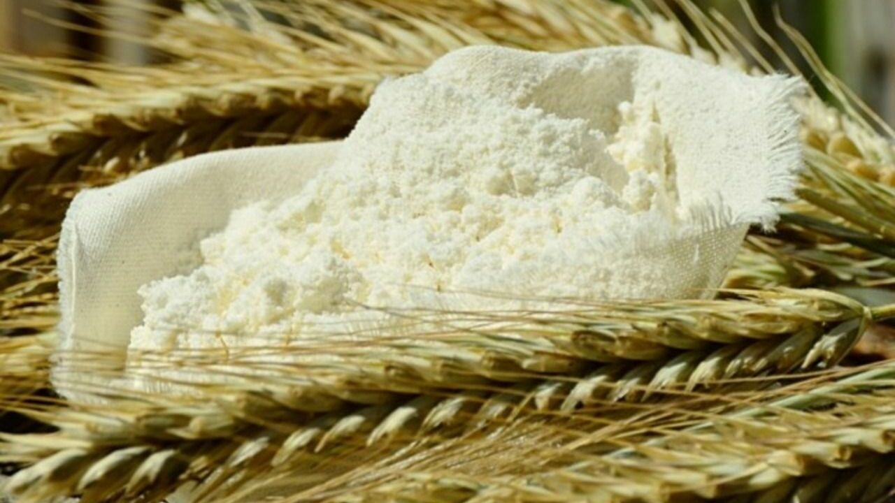 Еврокомиссия решила продлить запрет на экспорт пшеницы из Украины в пять стран