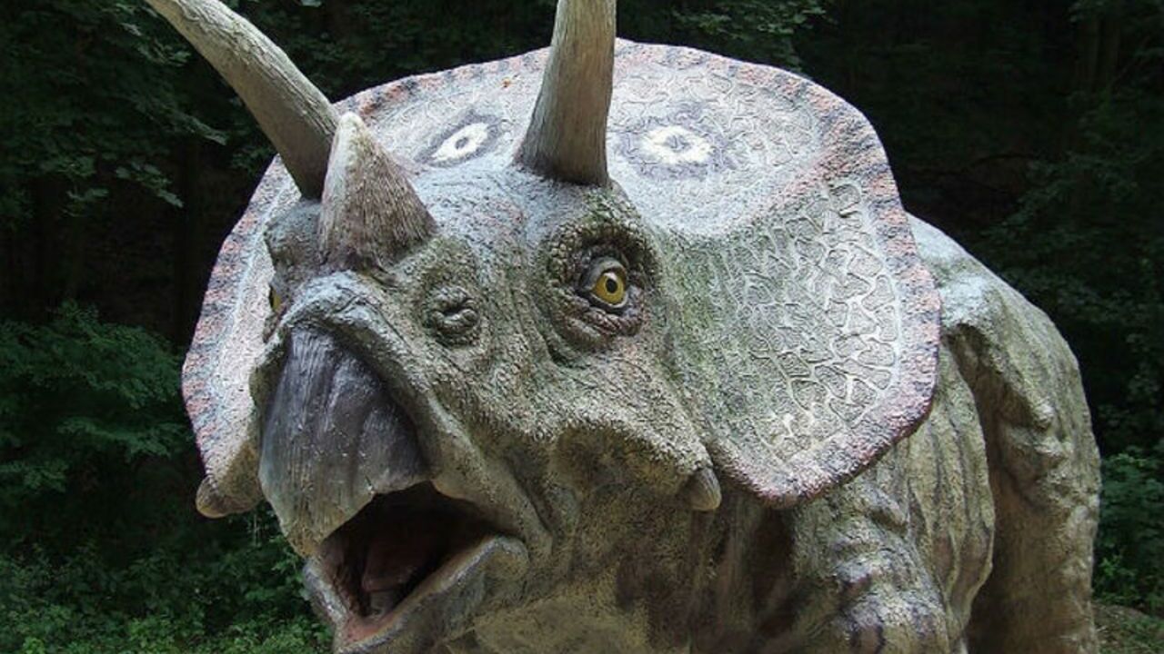 Хранившийся в музее агат оказался яйцом динозавра