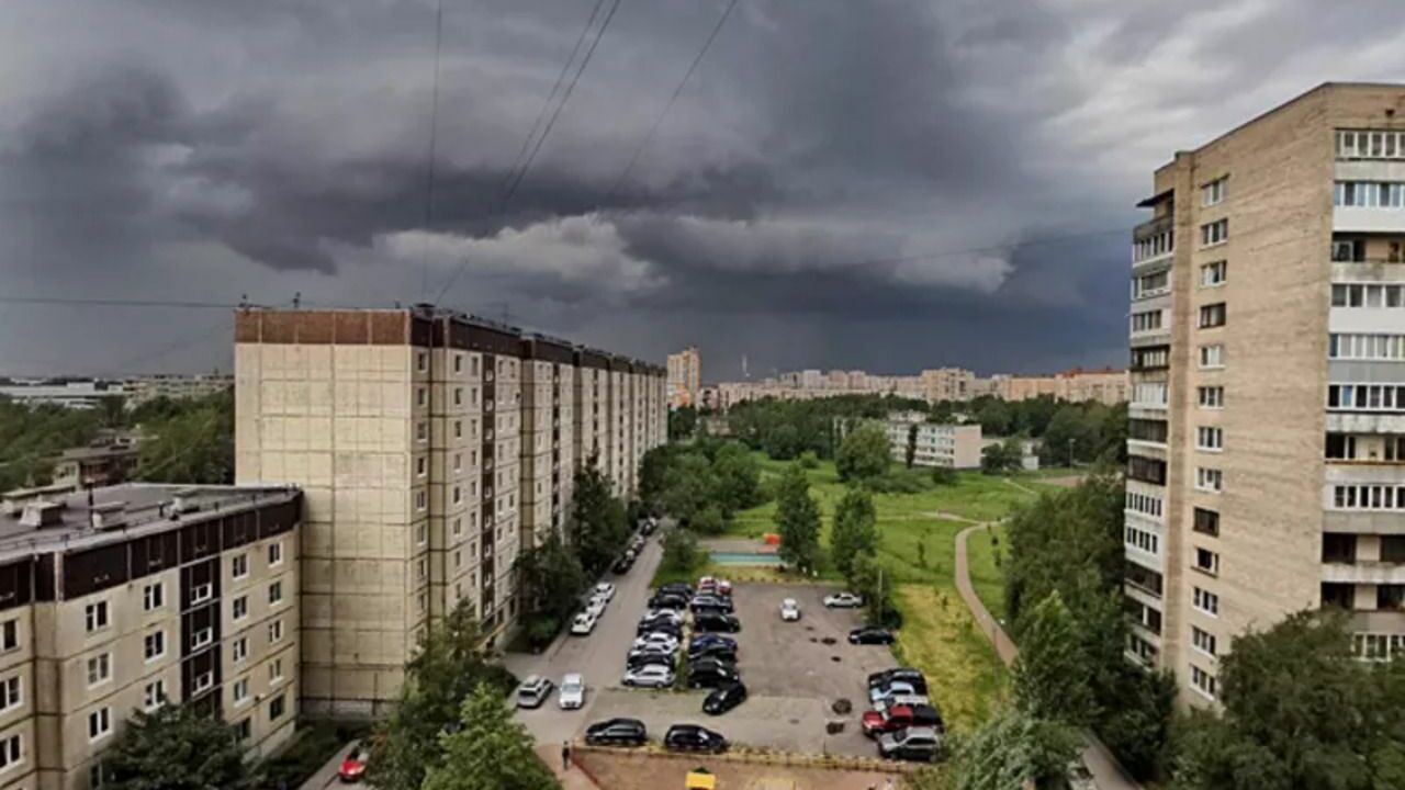В Петербурге кратковременные дожди и плюс двадцать четыре