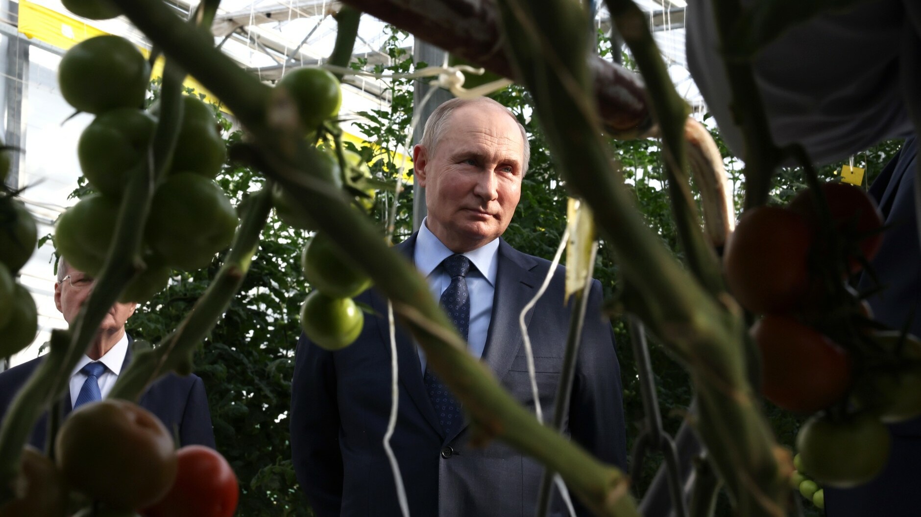 Путин поддержал создание зерновой биржи в рамках БРИКС