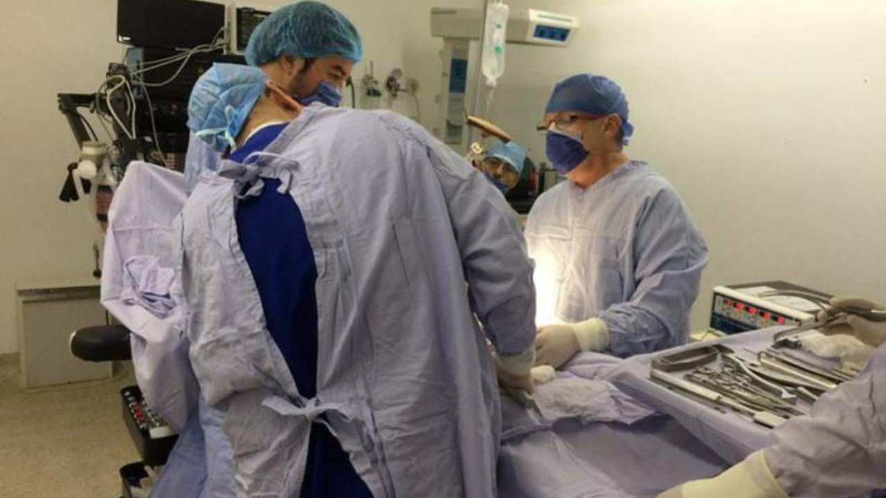В Подмосковье врачи извлекли из лба 7-летней девочки рог единорога
