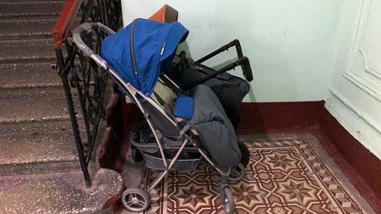 В Твери женщина обнаружила в детской коляске крысу с 14 крысятами