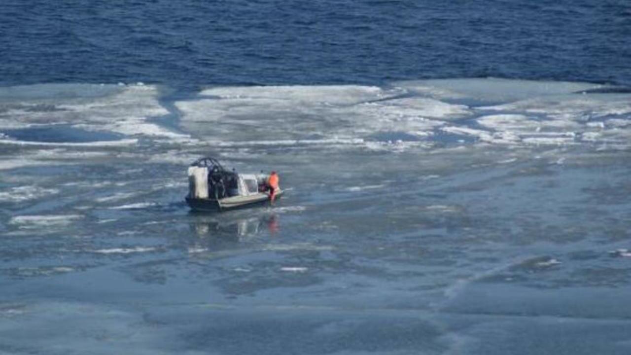 Сотрудники МЧС спасли более восьмидесяти рыбаков со льдины в Финском заливе