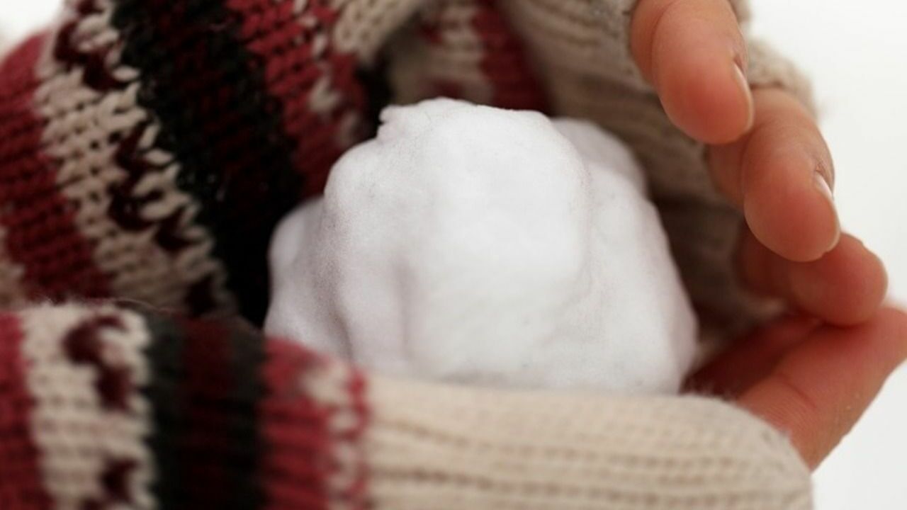 В Мордовии ребенок бросил снежок в Вечный огонь и потушил его