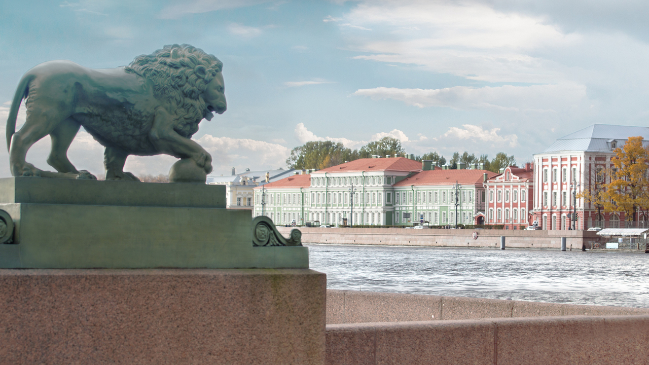 Международный студенческий обмен: какие программы доступны в Петербурге