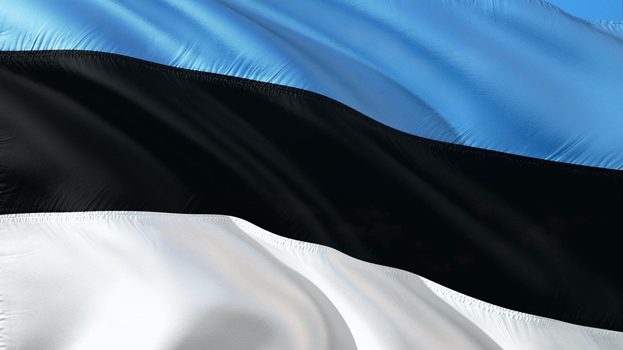 Эстония вслед за Литвой и Латвией запретила въезд в страну авто с российскими номерами