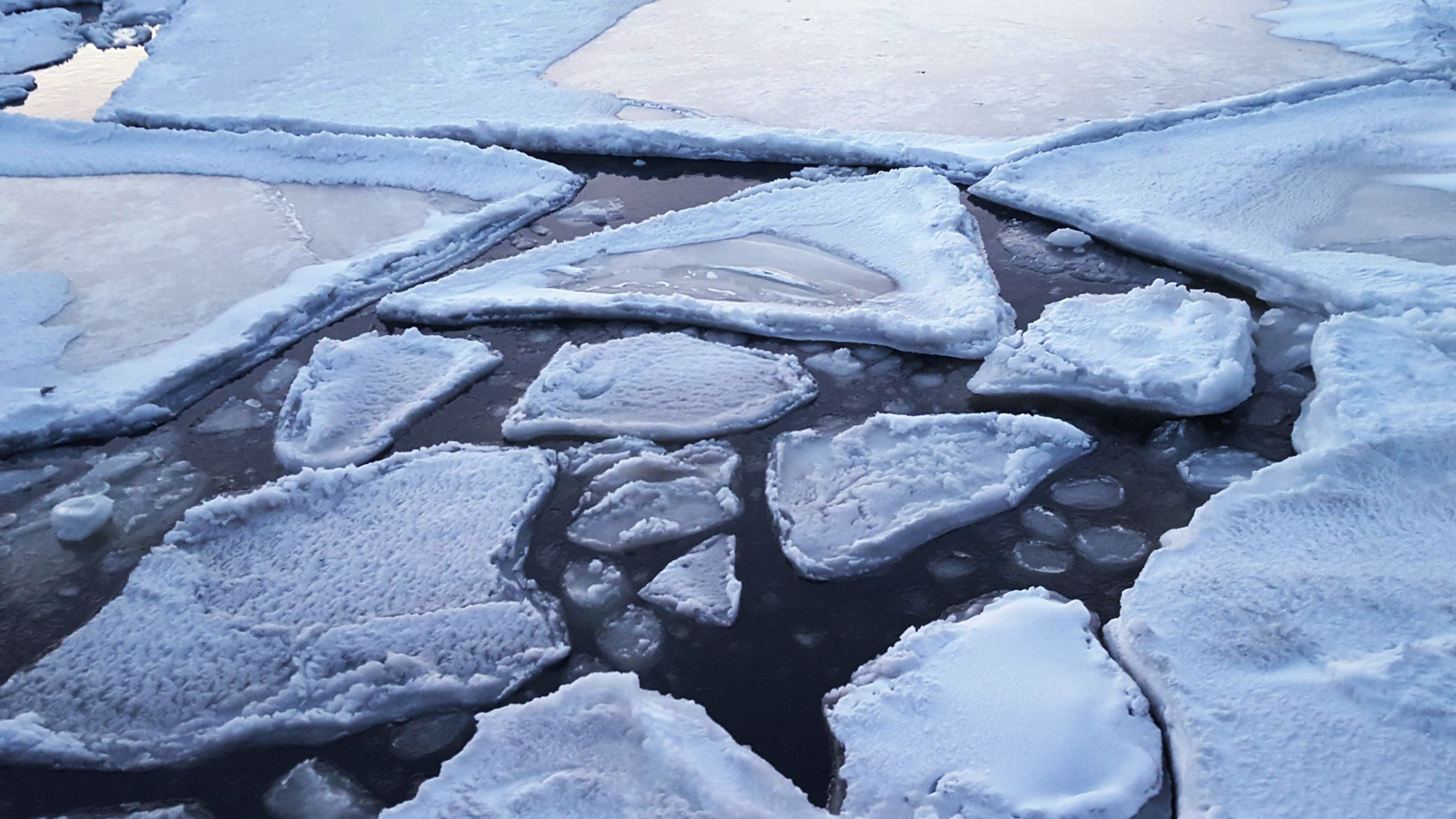 Ученые исследуют «кровавый лед» у берегов Приморья