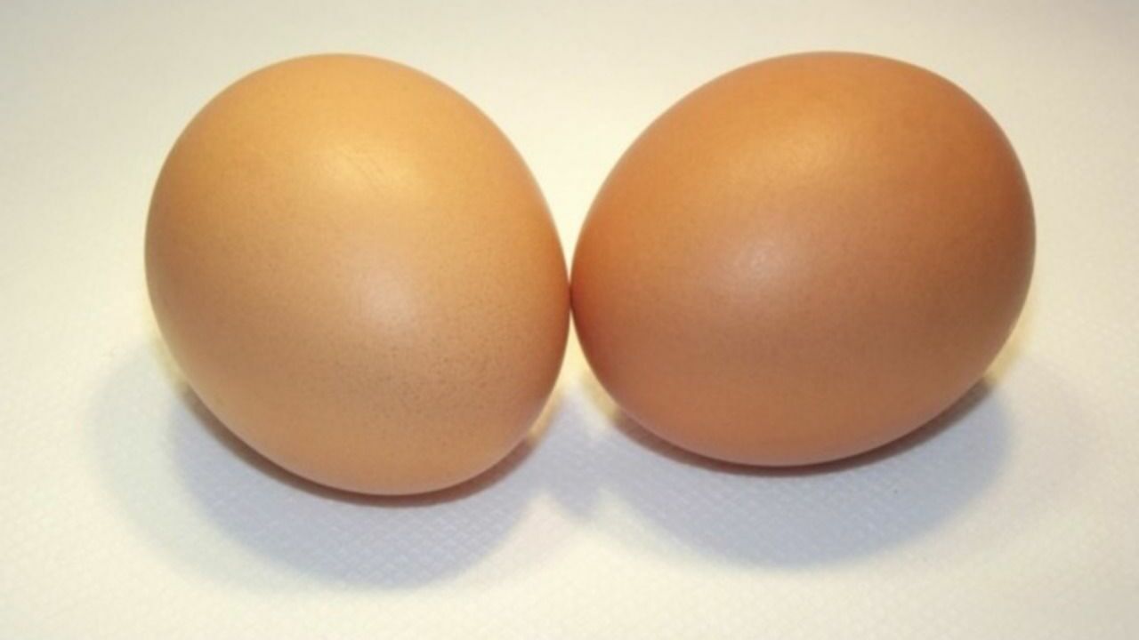 Выяснилось, как часто можно есть яйца