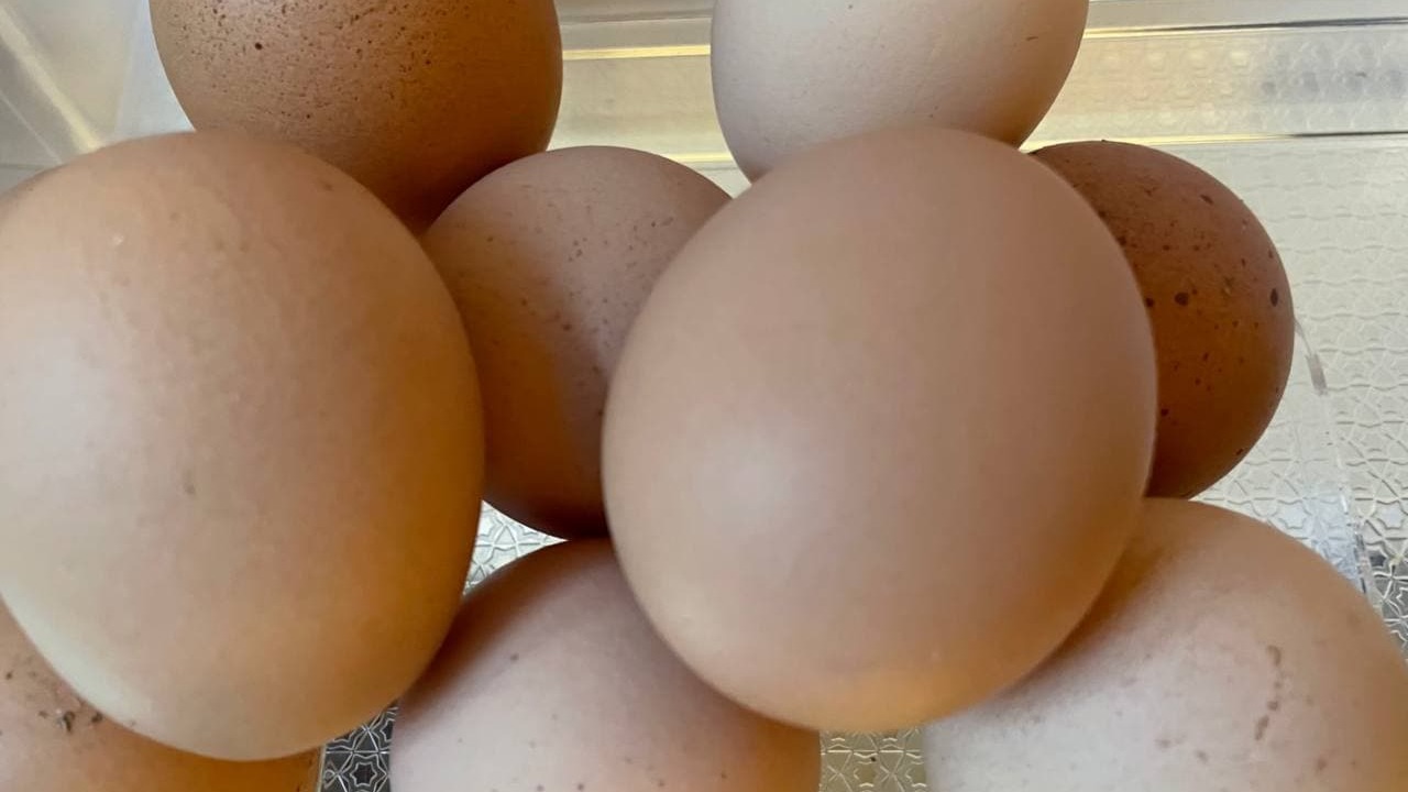 ФАС призвала не повышать цены на яйца перед Пасхой