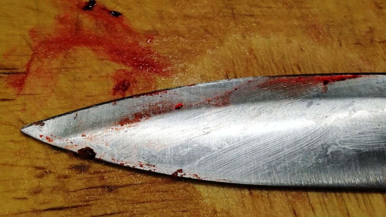 Житель Подмосковья искромсал мать ножом из-за квартирного конфликта