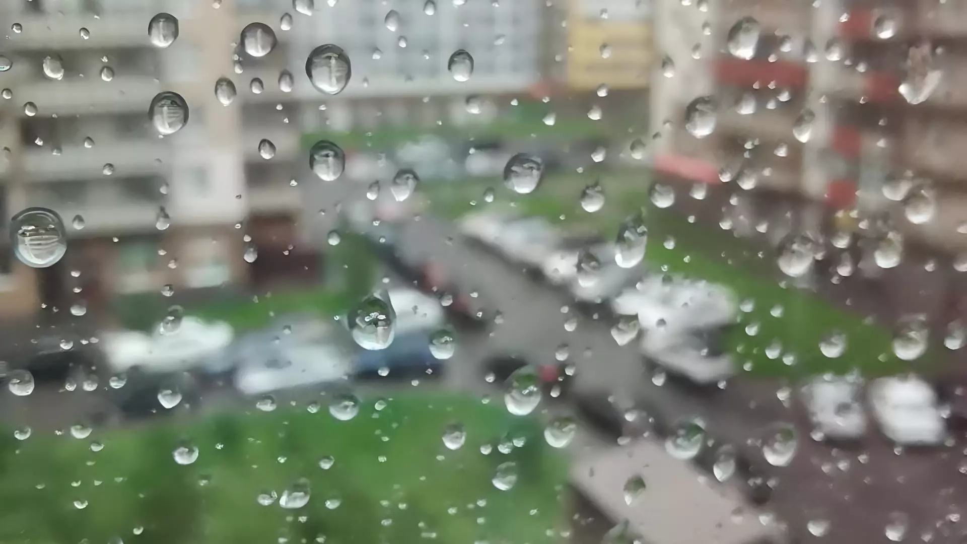 В Петербург несется циклон «Флорентина»