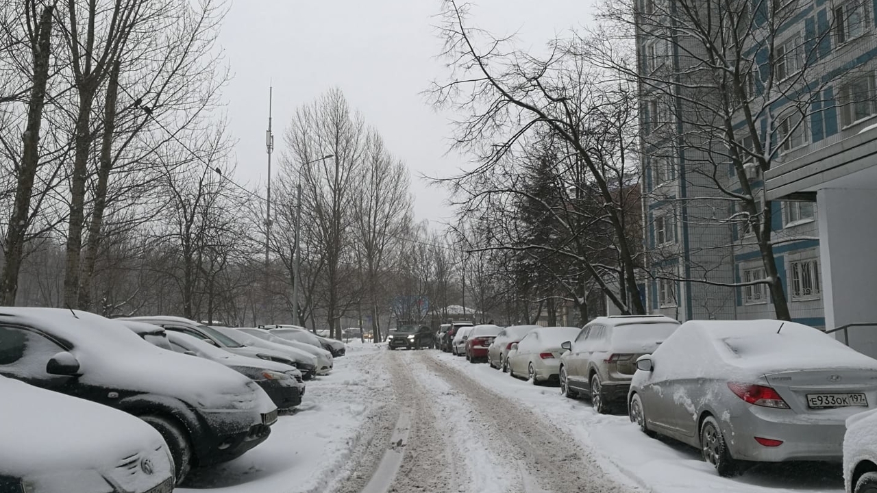 В Москве в воскресенье подморозит до минус пяти