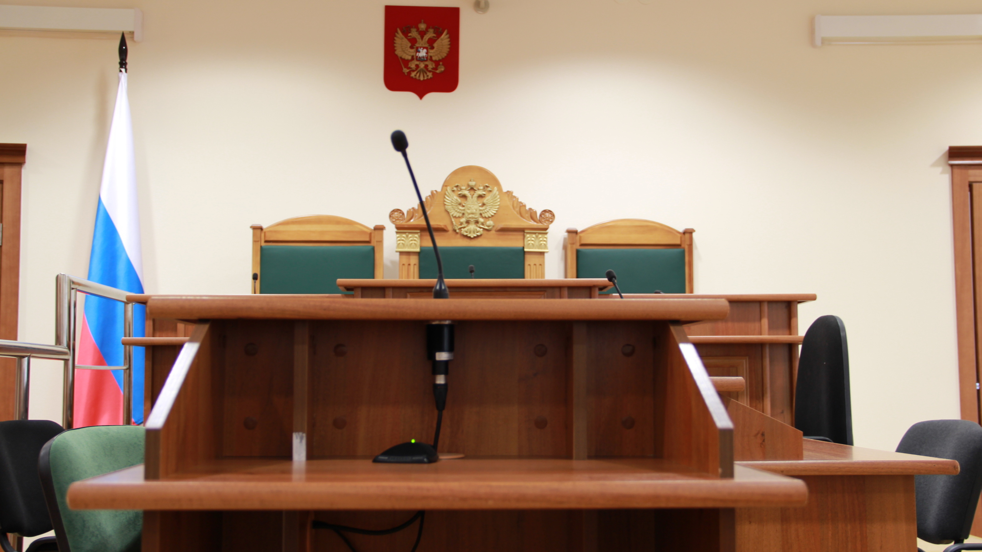 Суд приговорил фигурантку Новгородского дела Мартынову к 9 годам колонии