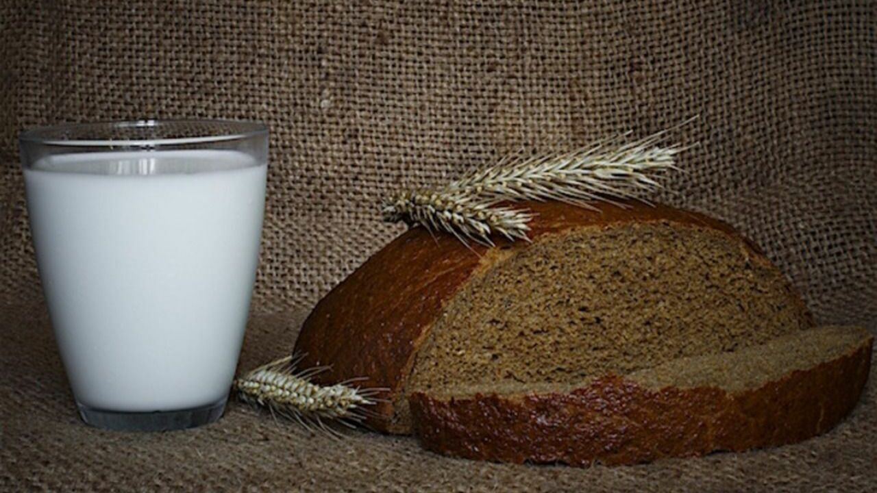Диетолог объяснила, почему нельзя запивать хлеб молоком