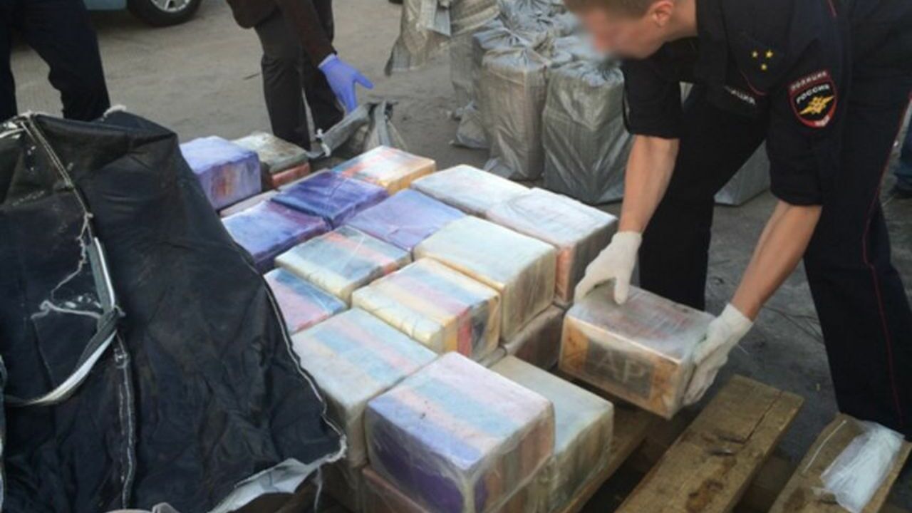 В Петербурге обнаружили более 600 кг кокаина из Южной Америки