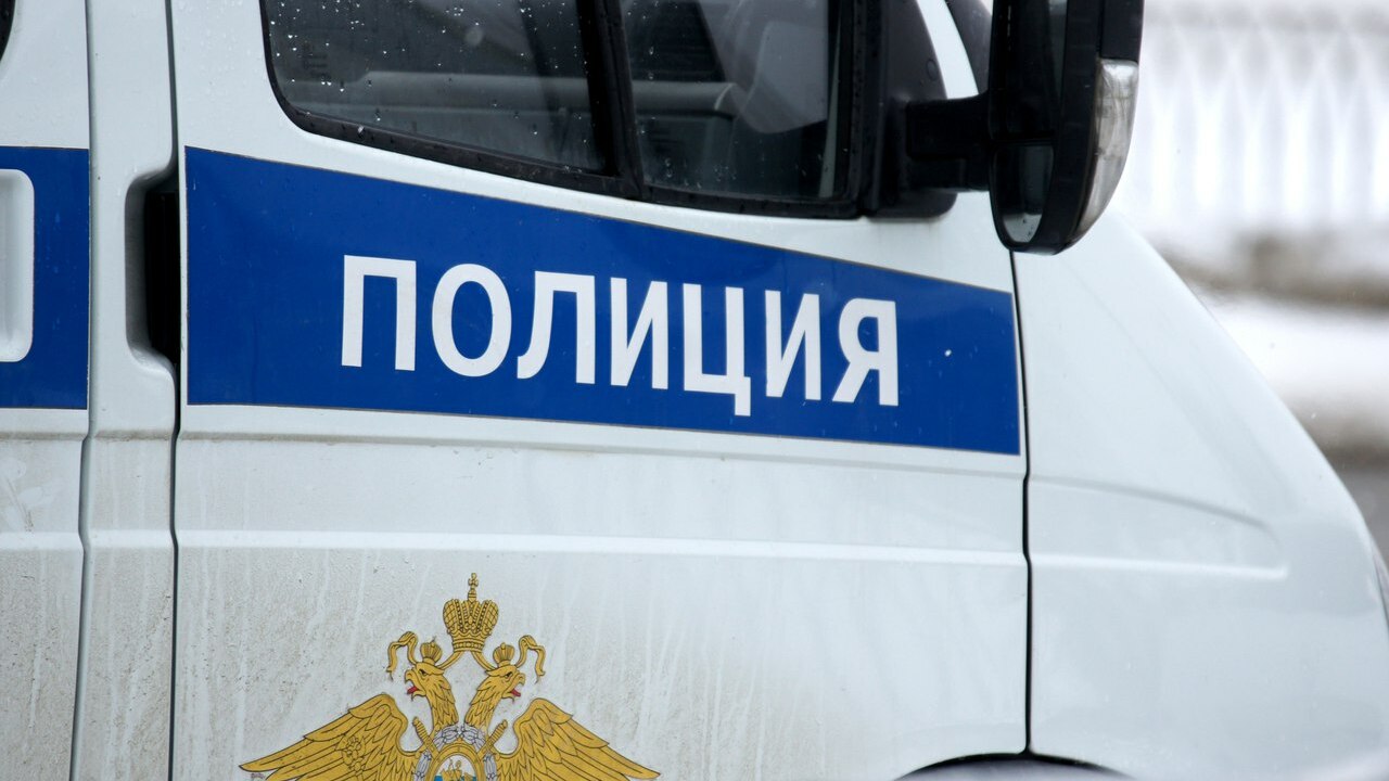 МВД установило личность подозреваемого в убийстве полицейского в Подмосковье