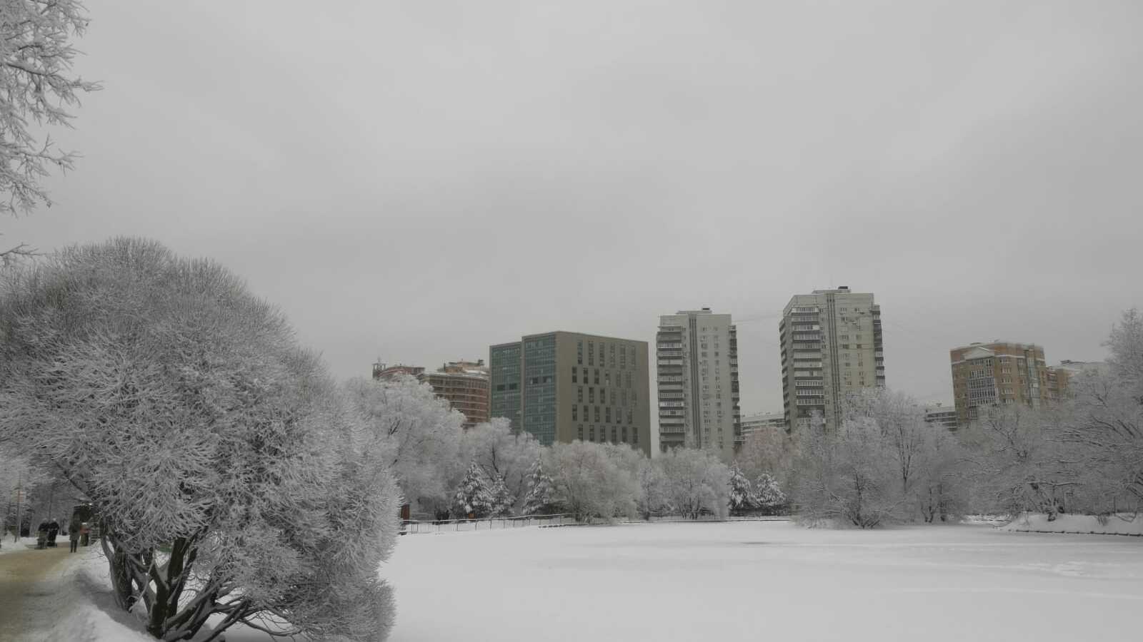 Вильфанд спрогнозировал снегопад и заморозки в Москве в выходные