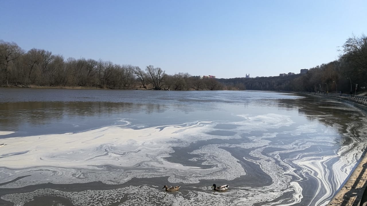 «Штраф не подействовал»: петербургский Водоканал продолжает загрязнять реку в Ленобласти