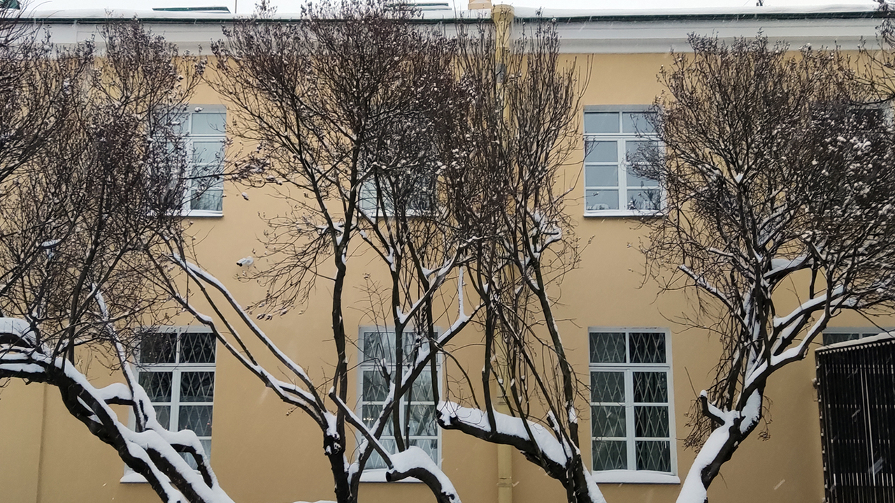 В Петербурге минус два и небольшой снег