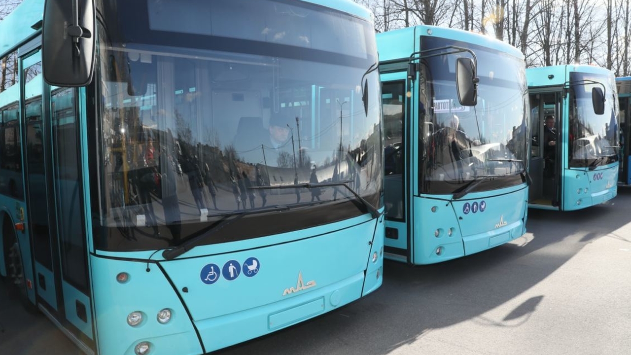 Петербург закупает более 100 автобусов большой вместимости