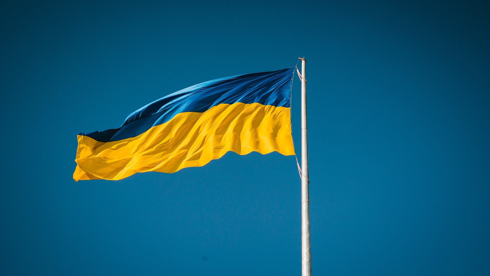 Украина вернула еще 100 тел погибших военнослужащих