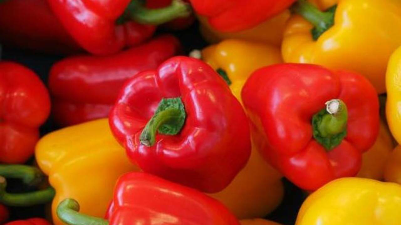 Диетолог рассказал, какой овощ снижает уровень холестерина