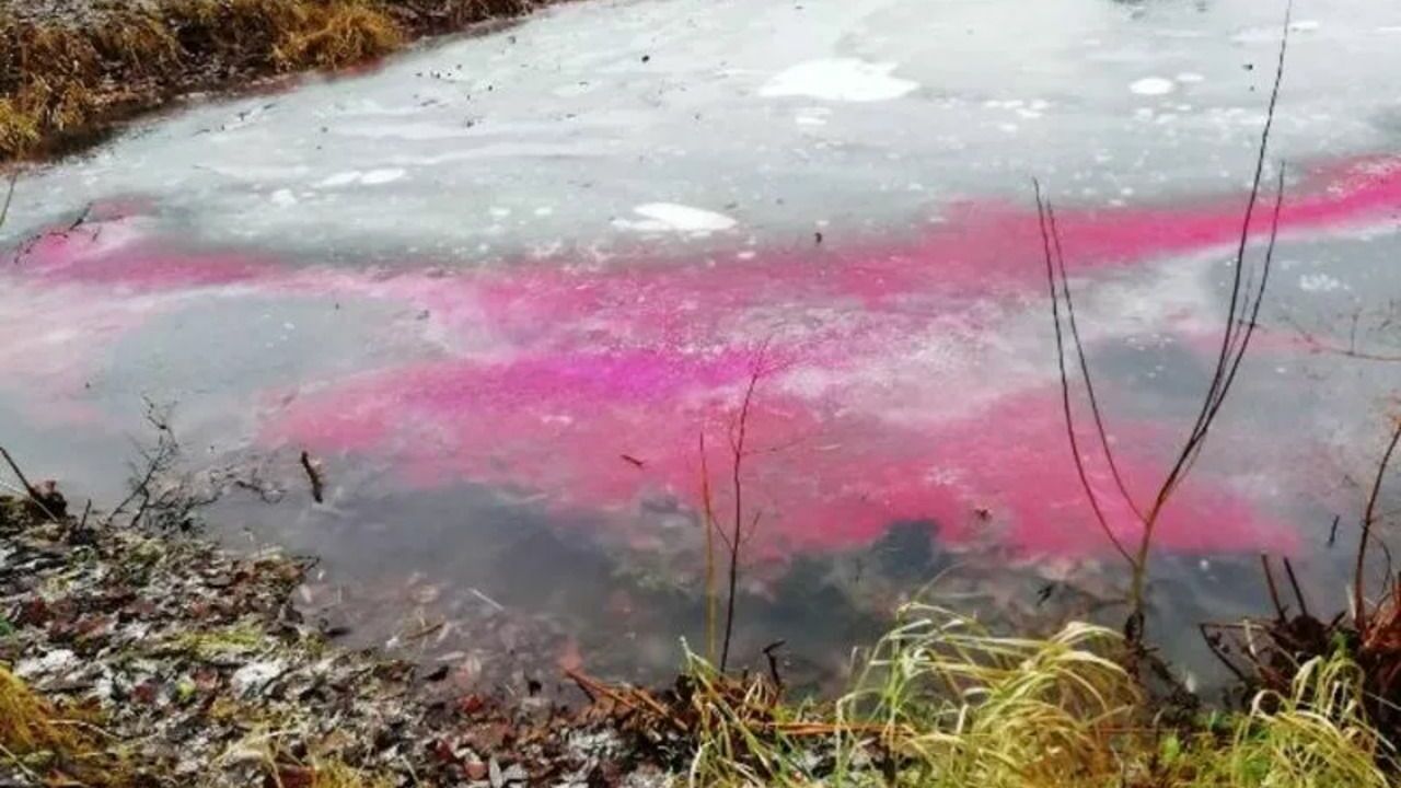 Река Томь в окрестностях Кемерово окрасилась в багровый цвет