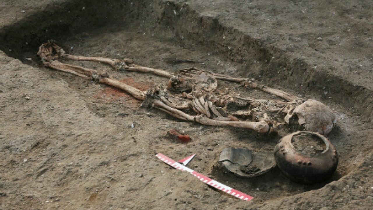 В Якутии откопали кости неизвестных животных