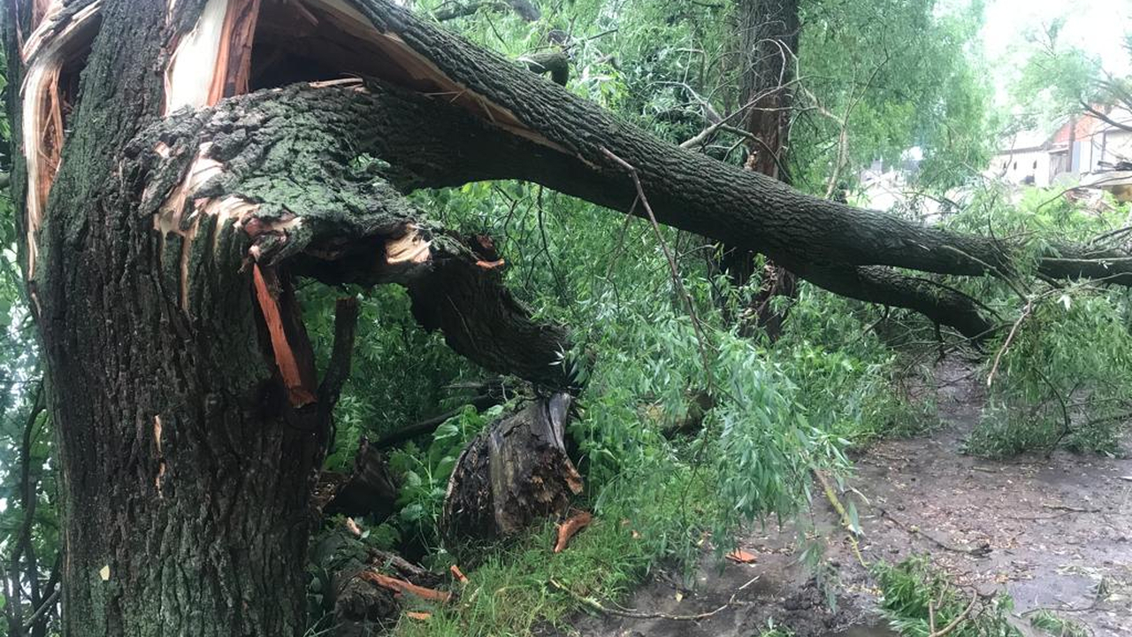 В Башкирии дерево упало на палатку и придавило беременную женщину