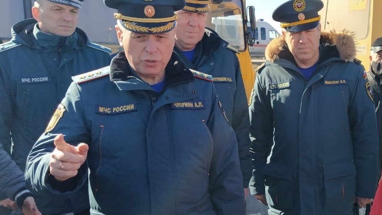 Путин освободил от должности первого замглавы МЧС Чуприяна