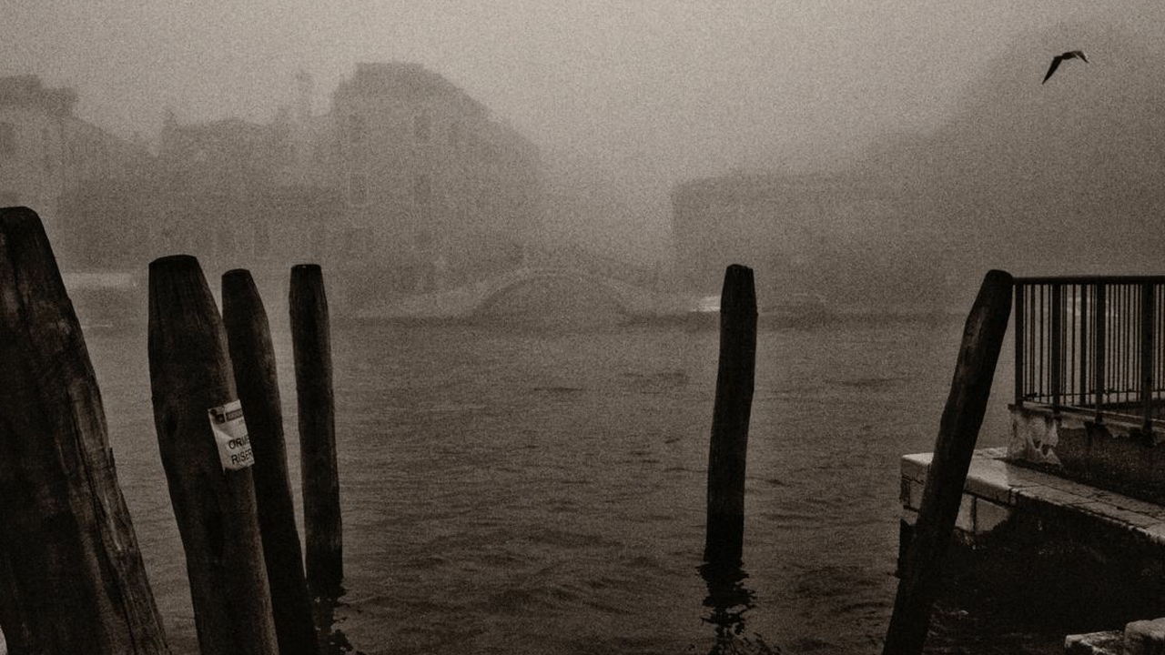Живым город делает его душа: в арт-пространстве mArs открывается фотовыставка Елены Мураловой, посвященная тайнам Венеции