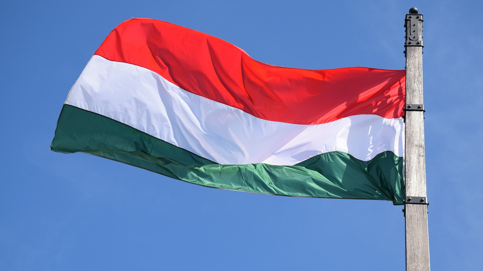 Венгрия высказалась против переизбрания фон дер Ляйен на пост главы ЕК