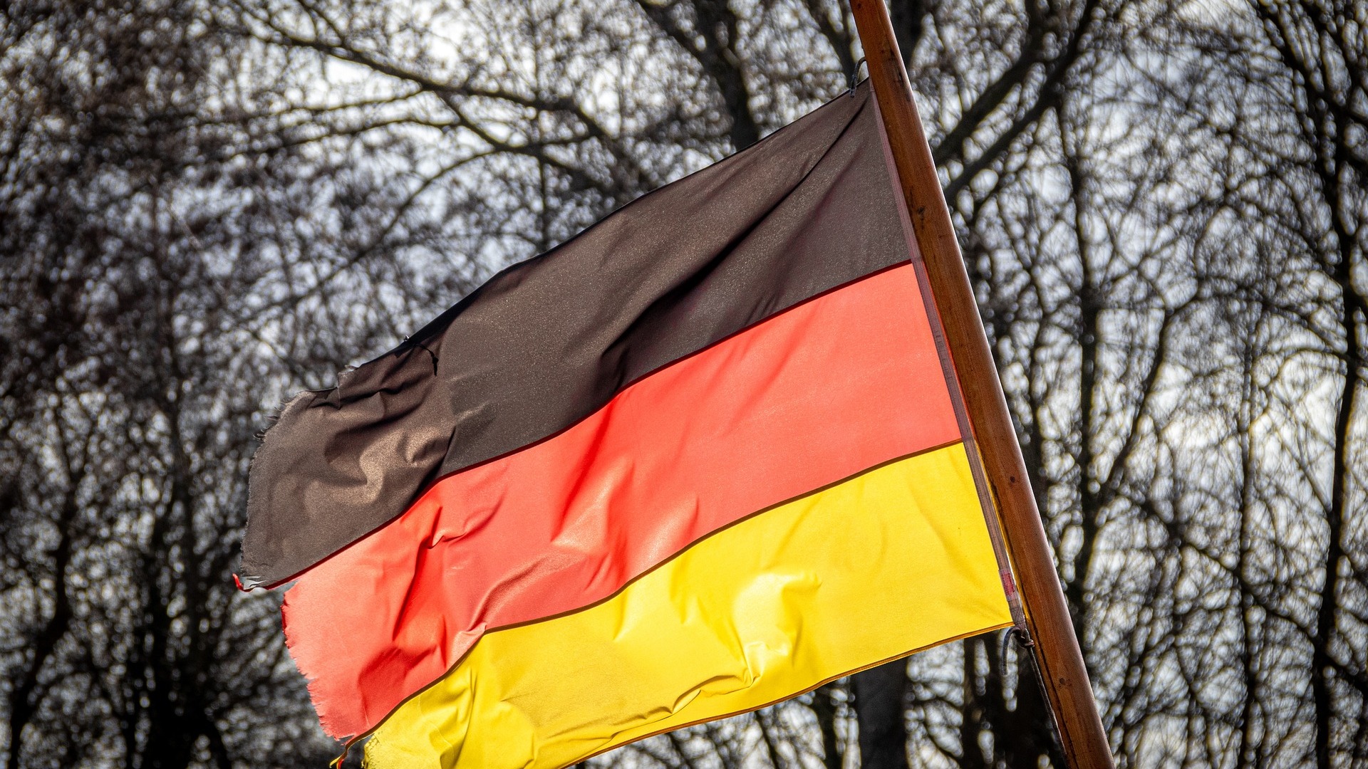 Bild: Германия столкнулась с масштабными перебоями со связью