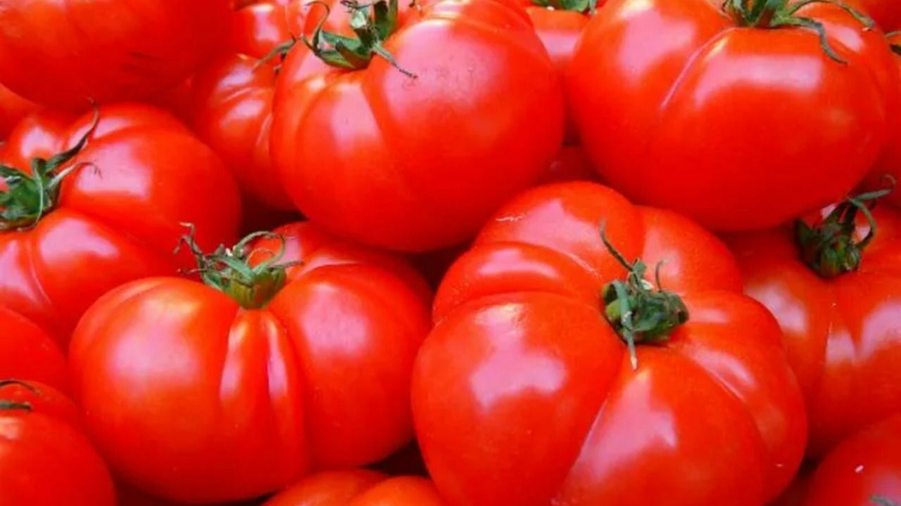 Диетолог предупредила об опасности помидоров