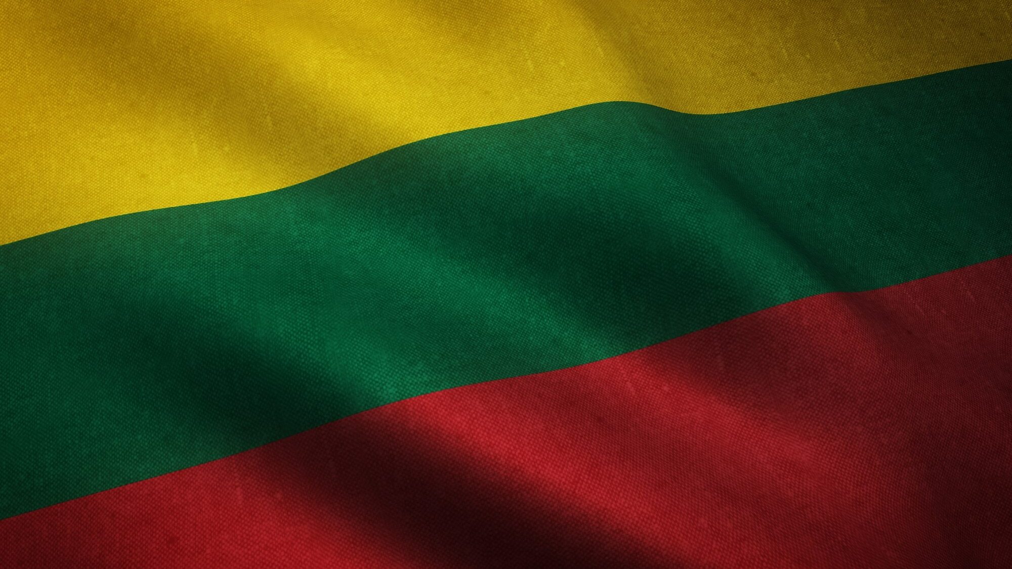 Армия Литвы заверила своих граждан, что «войны сегодня и завтра не будет»