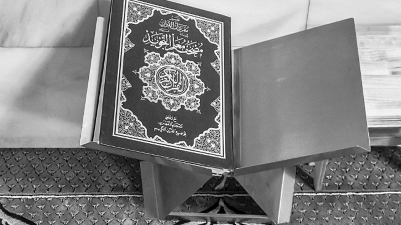 В ЕС назвали сожжение Корана в Стокгольме «оскорбительным актом», но выступили за свободу убеждений